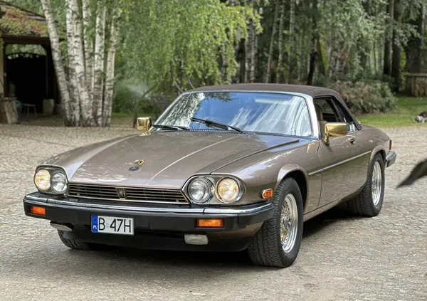 jaguar podlaskie Jaguar XJS cena 65000 przebieg: 36331, rok produkcji 1990 z Augustów